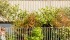 52_Recess copy