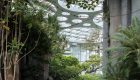 large-420_dmaa_expo-cultural-park-greenhouse-garden_0181_yiju-ding_interior_cloud-garden