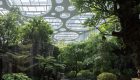 large-420_dmaa_expo-cultural-park-greenhouse-garden_0195_yiju-ding_interior_cloud-garden