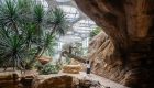 large-420_dmaa_expo-cultural-park-greenhouse-garden_061_CreateAR_desert