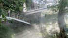 large-420_dmaa_expo-cultural-park-greenhouse-garden_540_CreateAR_tropical-forest