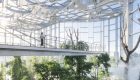 large-420_dmaa_expo-cultural-park-greenhouse-garden_590_CreateAR_cloud-garden